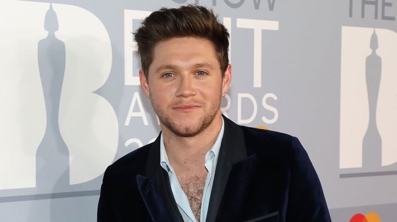 Niall Horan Teases 3rd Studio Album: What We Know So Far