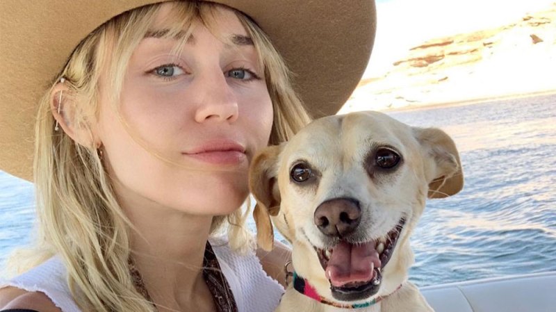 Dogs! Cats! Pigs! A Guide to All of Miley Cyrus' Pets