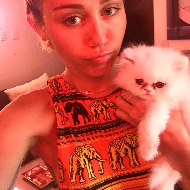 Miley Cyrus&#39; Pets: See Photos of Her Dogs, Cats and Pigs