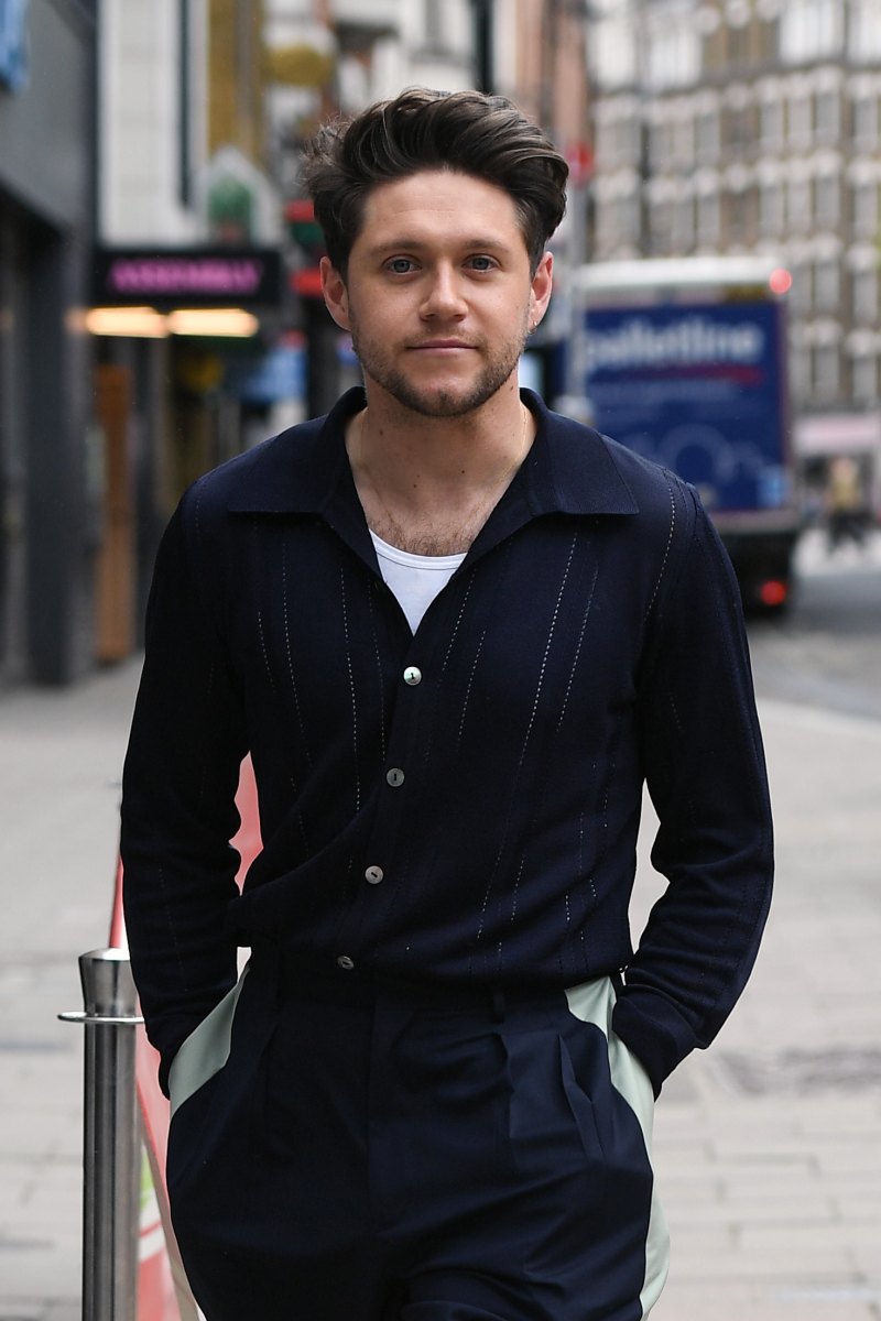 Niall Horan Looks Dapper in Navy Blue During Rare London Outing — See Photos