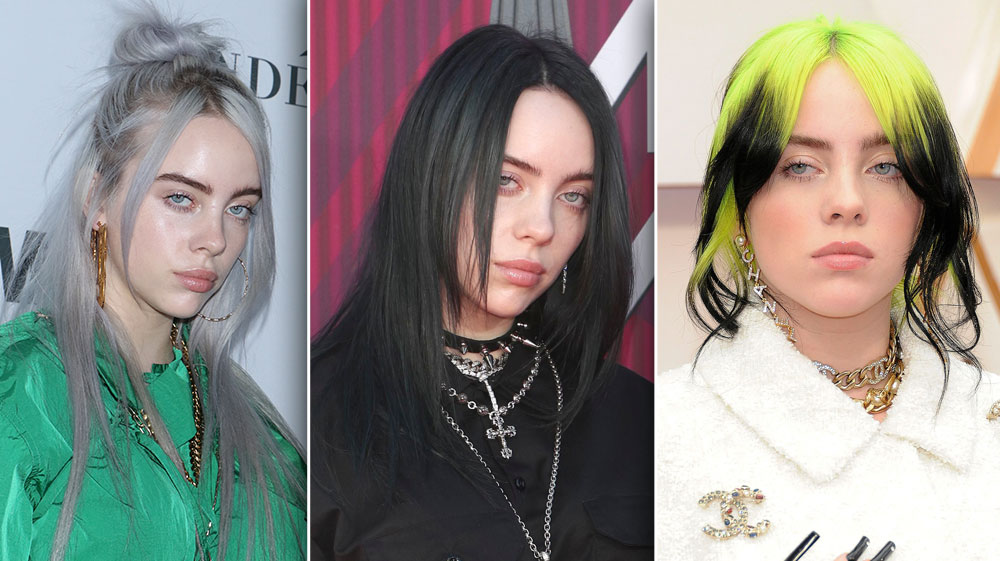 Billie Eilish's Iconic Grey and Blue Hair - wide 3