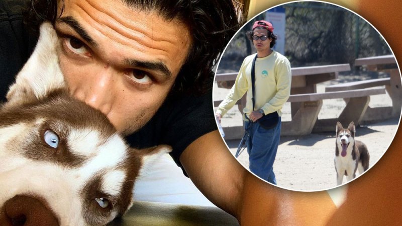Charles Melton Steps Out With Pup Neya After Camila Mendes Reconciliation Speculation: Photos