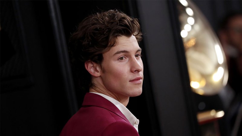 Shawn Mendes' Most Candid Quotes About Being Famous: Talks Pressure of Life in the Spotlight