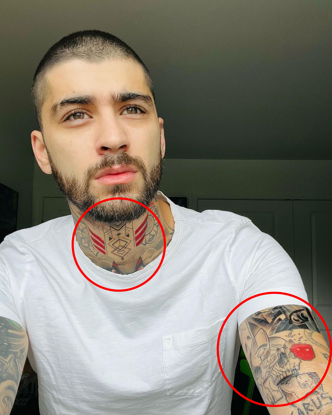 Zayn Malik Sleeve Tattoo Fifty Shades Darker One Direction PNG 850x567px Zayn  Malik Aggression Arm Facial