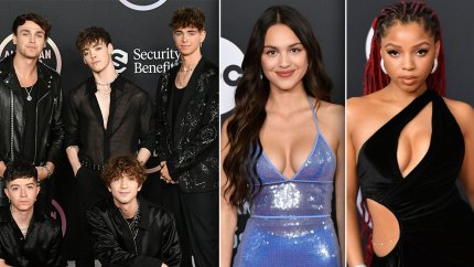 Star-Studded Arrivals! Celebrities Slay the 2021 American Music Awards Red Carpet: Photos