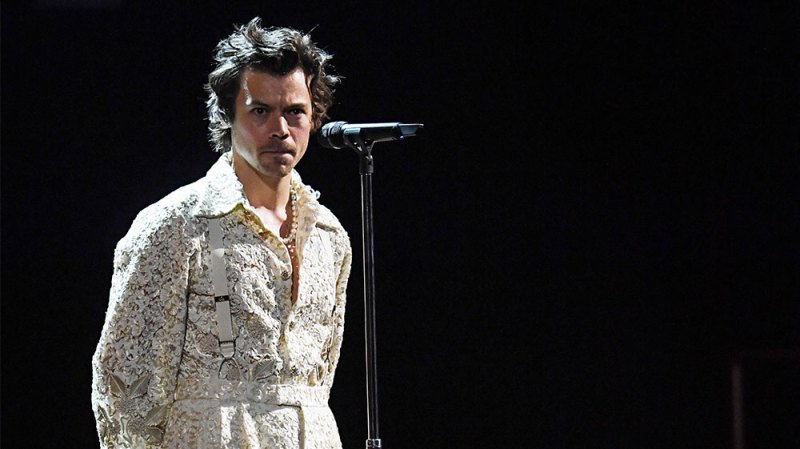 Breaking Down the 'Overwhelming' Viral Moment When a Harry Styles Fan Came Out During His Show