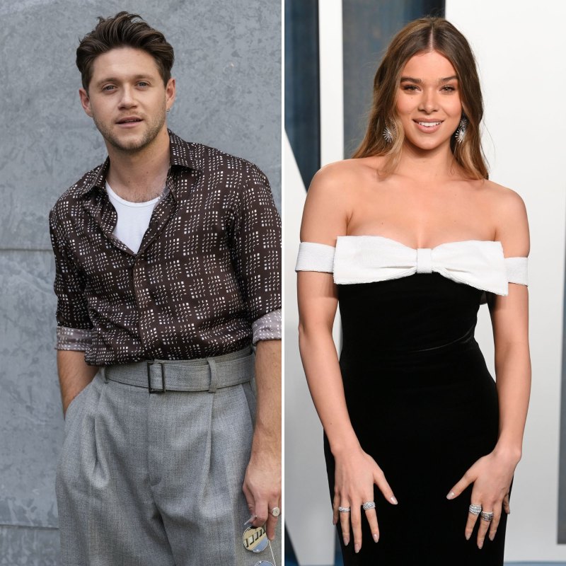 Niall Horan and Hailee Steinfeld: Complete Relationship and Breakup Timeline