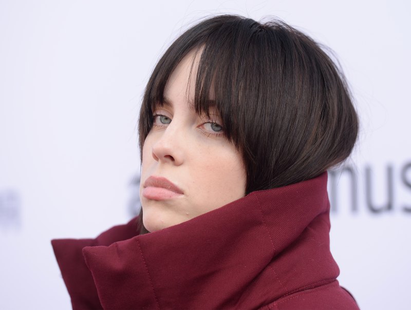 Billie Eilish Has a Ton of Famous Friends: Miley Cyrus, Justin Bieber and More