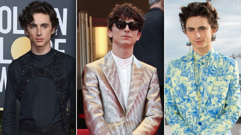A Fashion Icon! Timothee Chalamet's Hottest Red Carpet Appearances: Photos