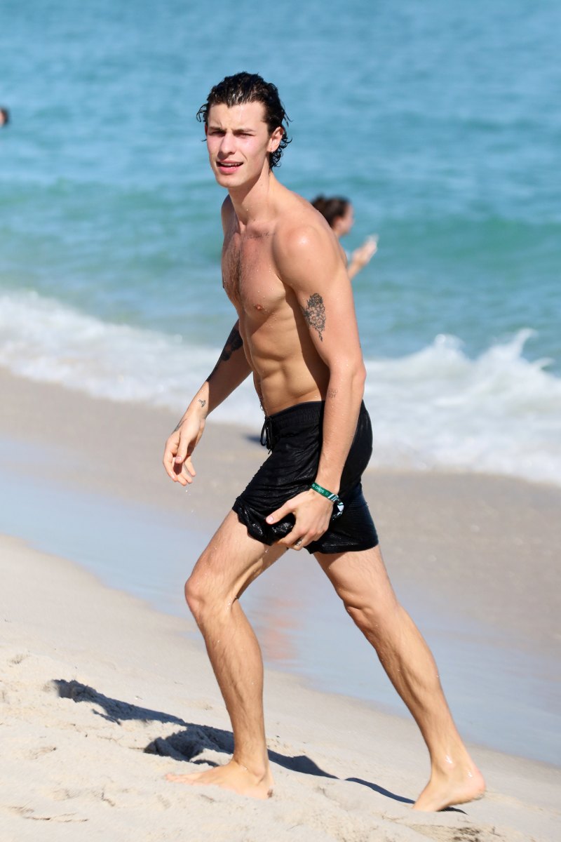 Ceebrity Shawn Mendes Body Type One - At the Beach