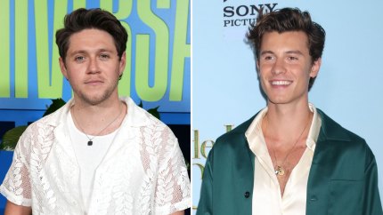 Bromance! Niall Horan and Shawn Mendes' Complete Friendship Timeline