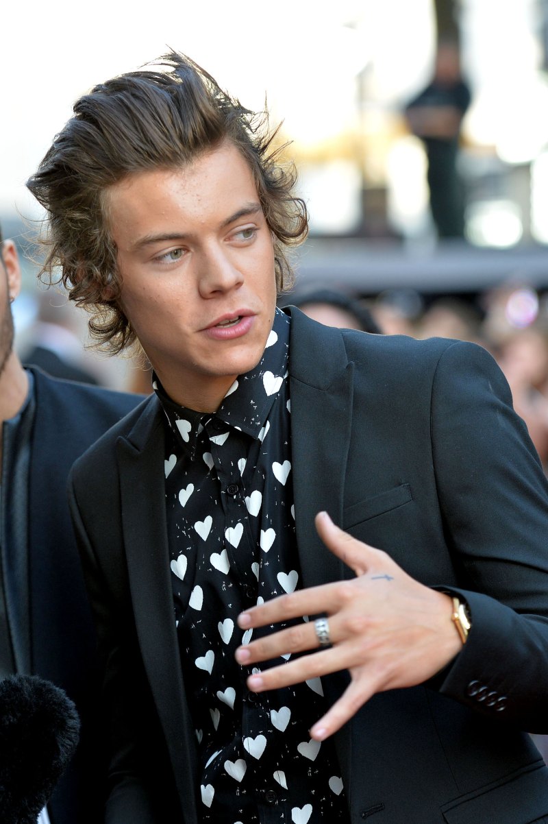 Harry Styles Is Covered in Tattoos! A Guide to the One Direction Singer's Ink and Their Meanings