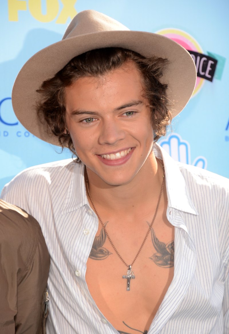 Harry Styles Is Covered in Tattoos! A Guide to the One Direction Singer's Ink and Their Meanings