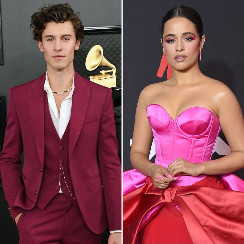 Shawn Mendes Debuts New Song Following Camila Split