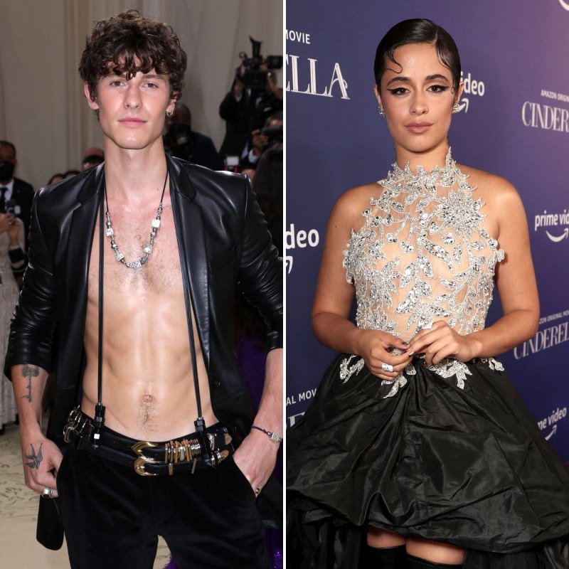 Inside Shawn Mendes and Camila Cabello's Split — What Went Wrong?