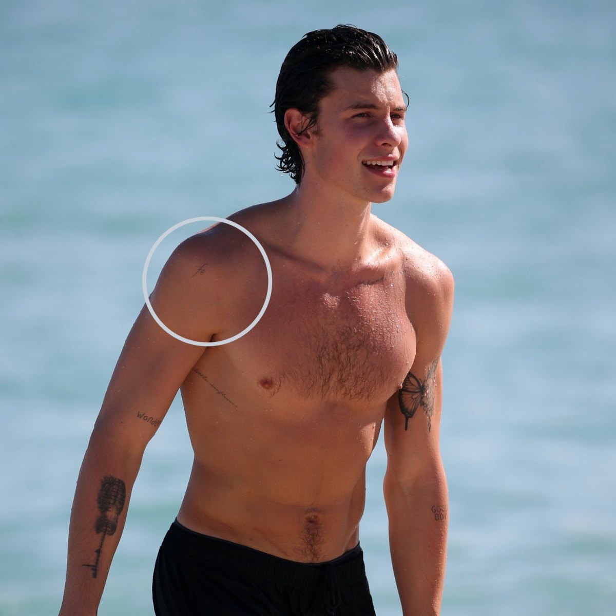 Shawn Mendes Tattoos: Guide to His Ink Designs and Meanings