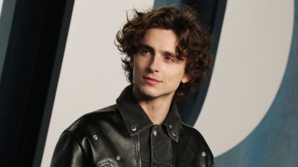 Timothee Chalamet’s Love Life: A Guide to the Hunky Actor’s Exes and Rumored Relationships