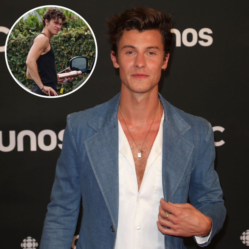 Shawn Mendes Steps Out in Los Angeles Following Tour Cancellation: Photos