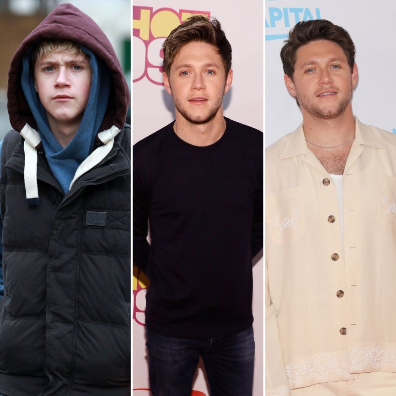 Niall Horan's Transformation in Photos: From One Direction to Now