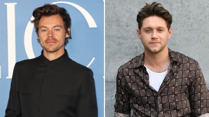Are Harry Styles and Niall Horan Still Friends? Find Out Where They Stand After One Direction