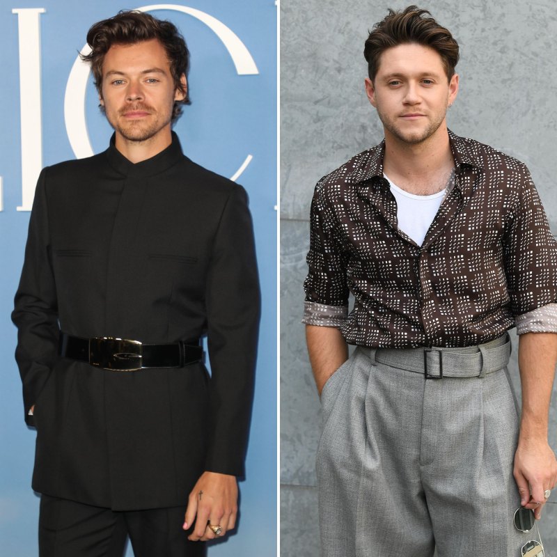 Are Harry Styles and Niall Horan Still Friends? Find Out Where They Stand After One Direction