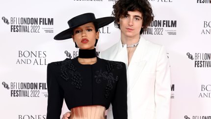Are 'Bones and All' Costars Timothee Chalamet and Taylor Russell Dating IRL? Why Fans Think So