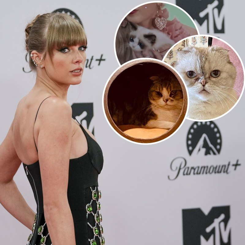 Purr Welcome! A Guide to Taylor Swift's Cats: Meredith Grey, Olivia Benson and Benjamin Button