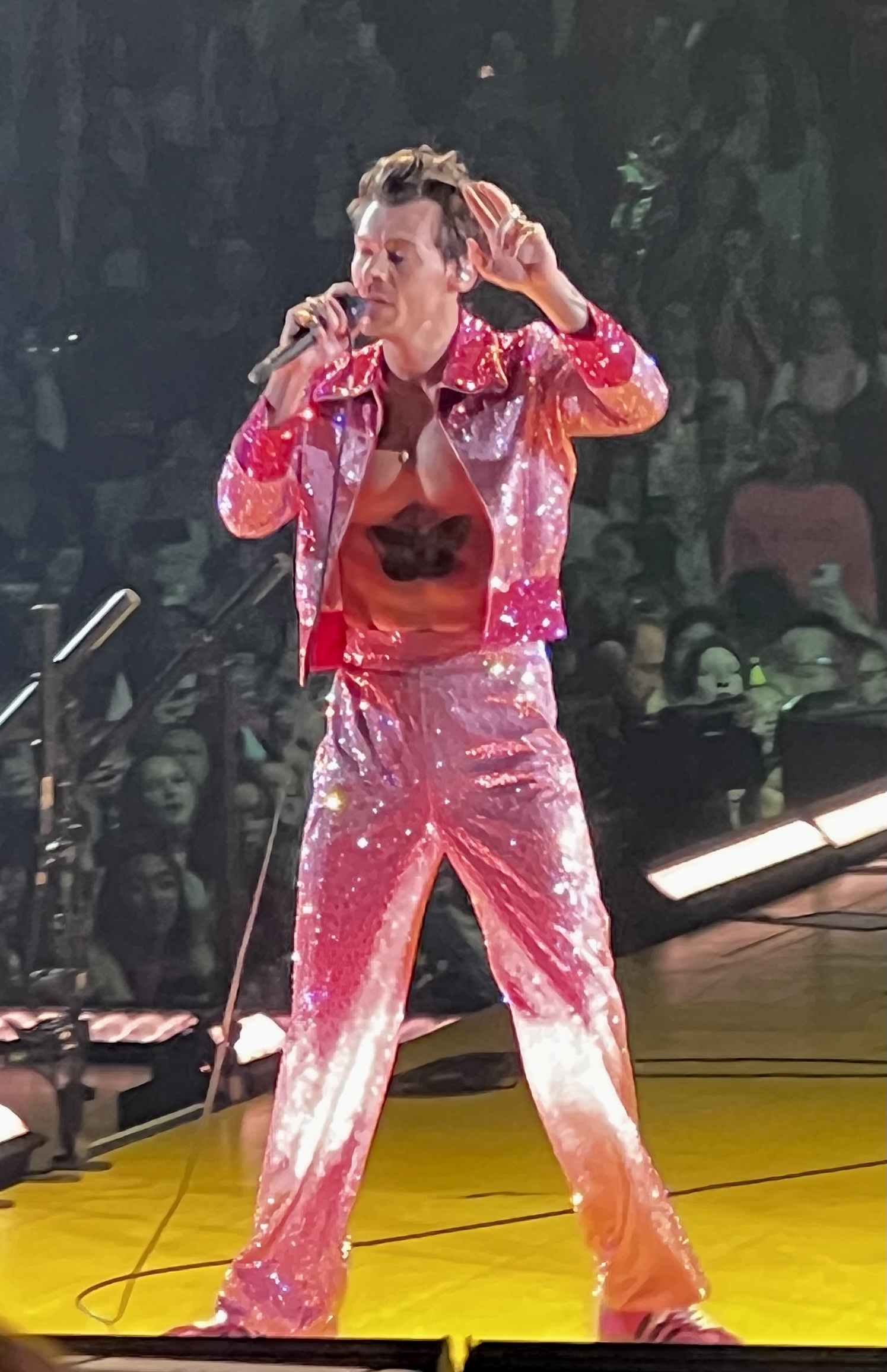 Harry Styles 29th Birthday Concert: Pink Outfit Photos