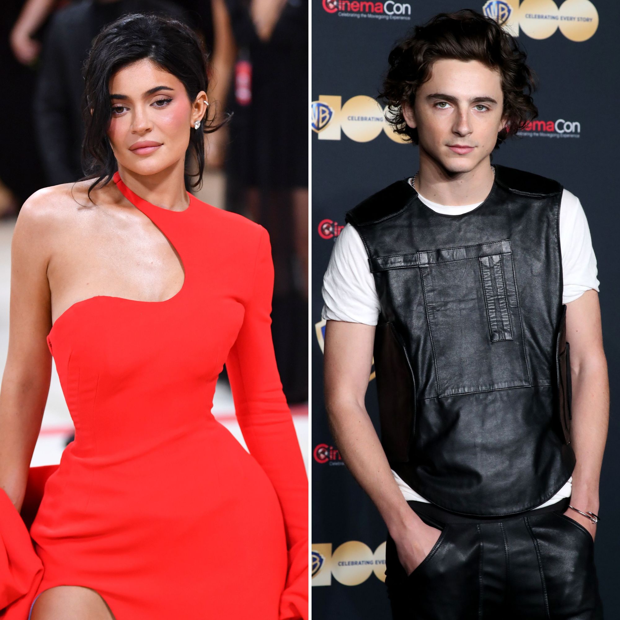 Are Kylie Jenner and Timothee Chalamet Really Dating? Details