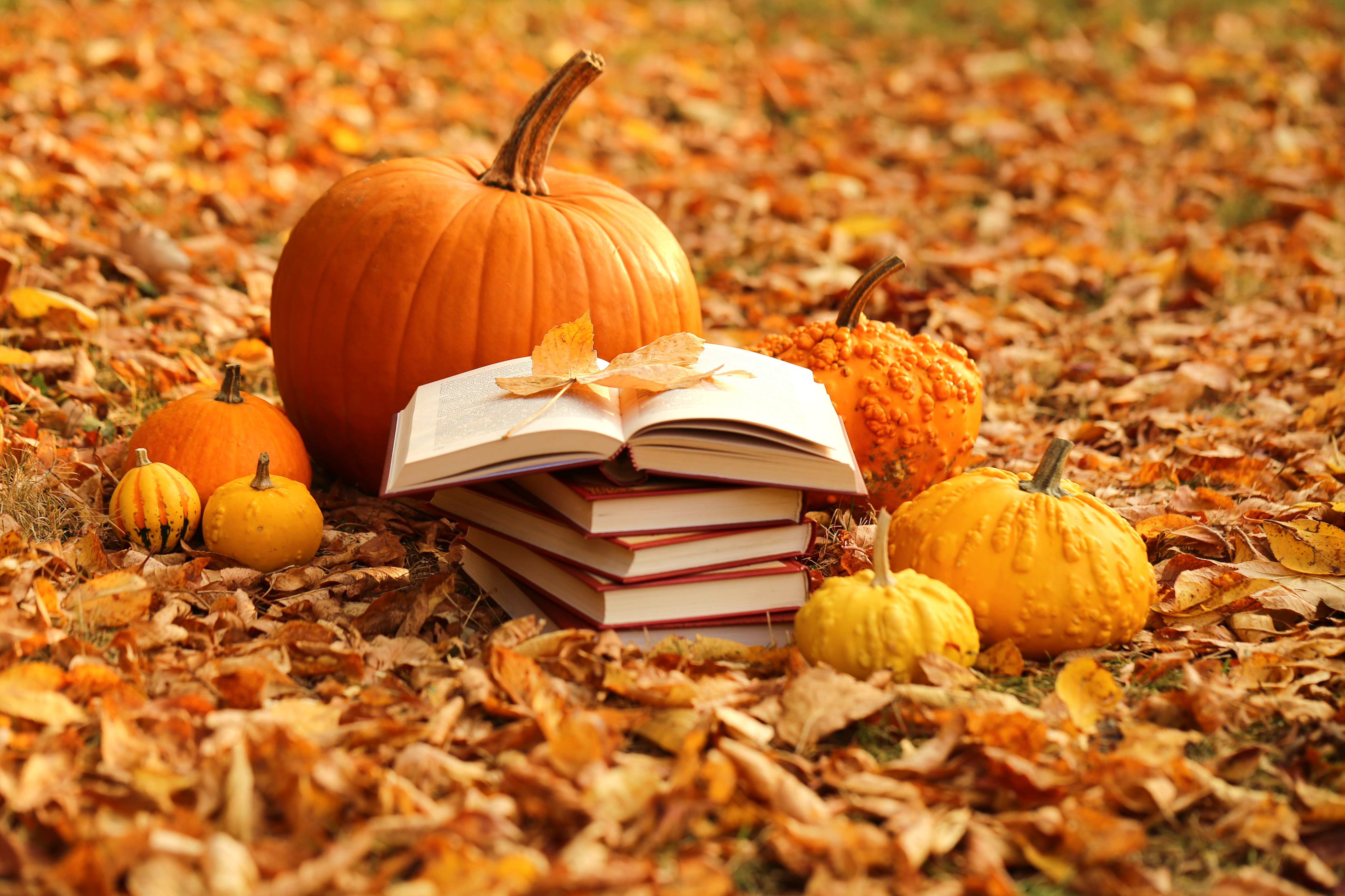 5 Young Adult Authors to Check Out During Spooky Season — And All Year Long